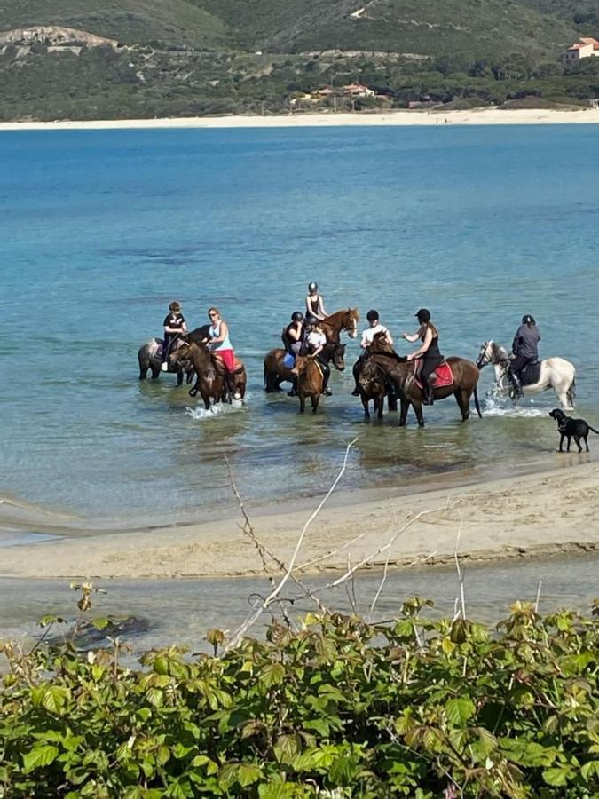 Caselena , Un Havre De Paix En Balagne Ville-di-Paraso Dış mekan fotoğraf